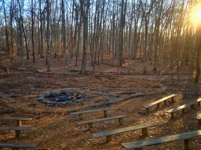 Prince William Tic Tac Toe - Prince William Forest Park (U.S. National Park  Service)