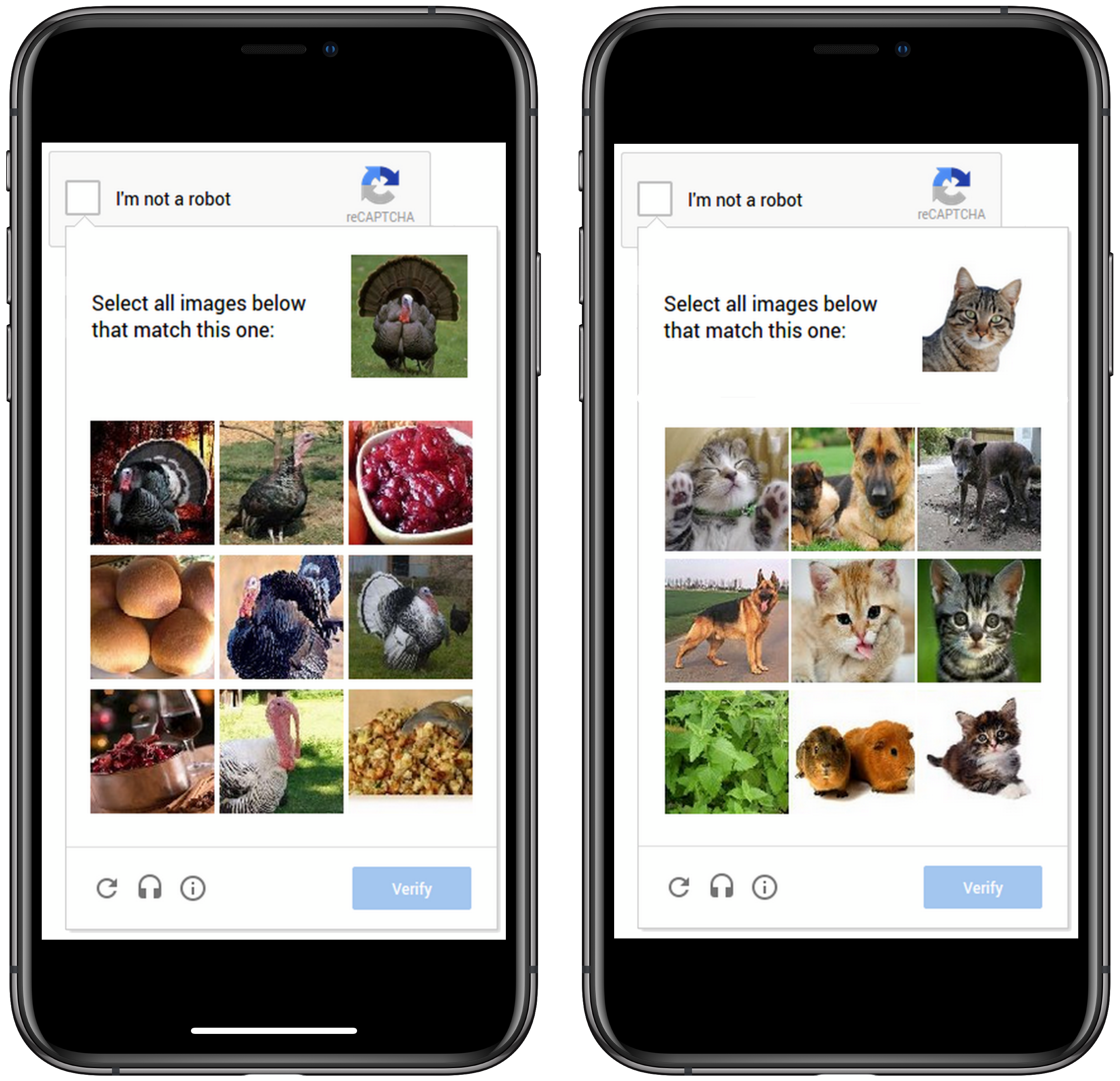 CAPTCHA cat and turkey